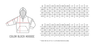
                
                    Load image into Gallery viewer, Color Block Hoodie // Toasted Berry
                
            